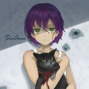 Meet your Posher, Sierra